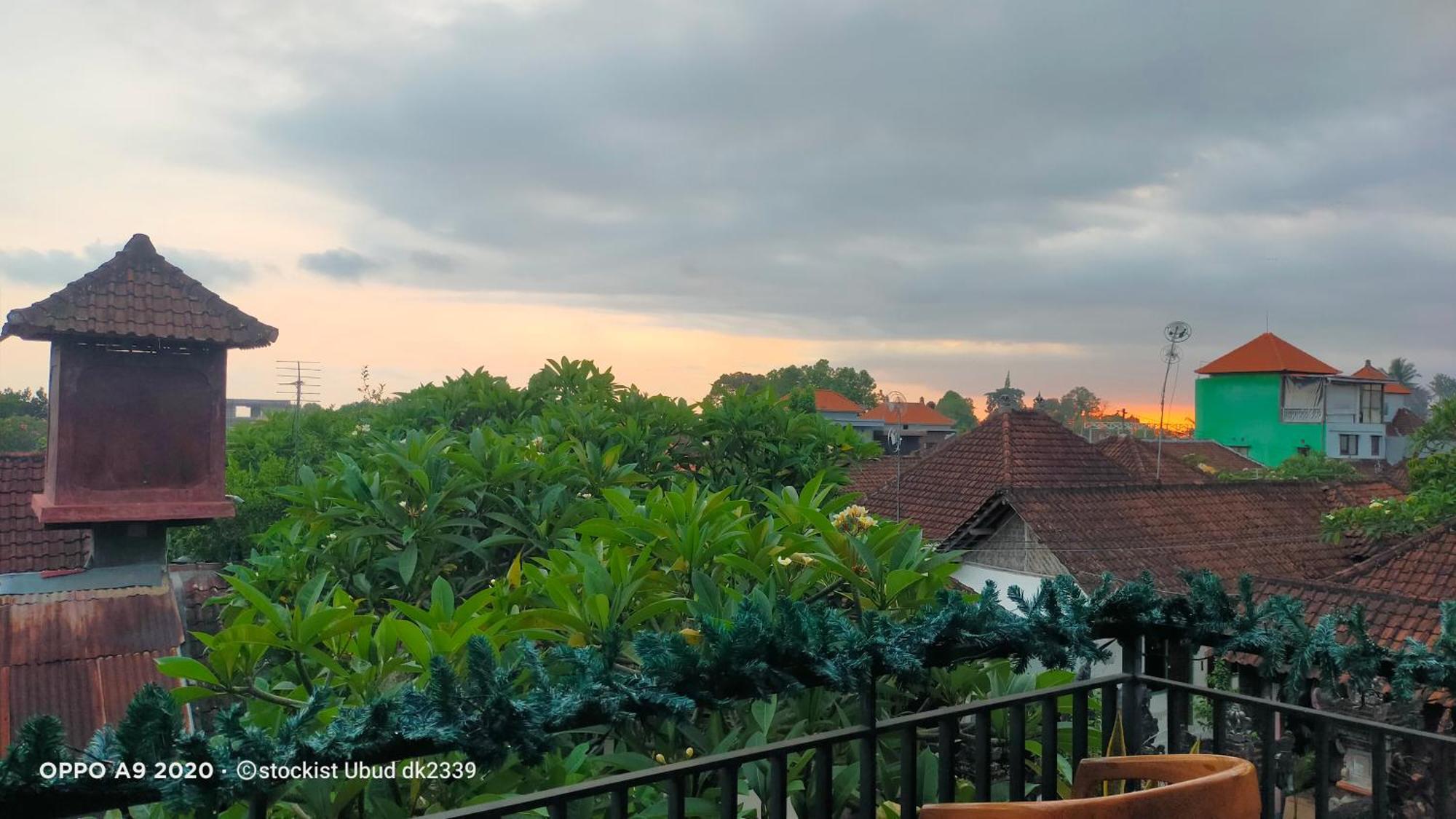 Danu House Ubud المظهر الخارجي الصورة