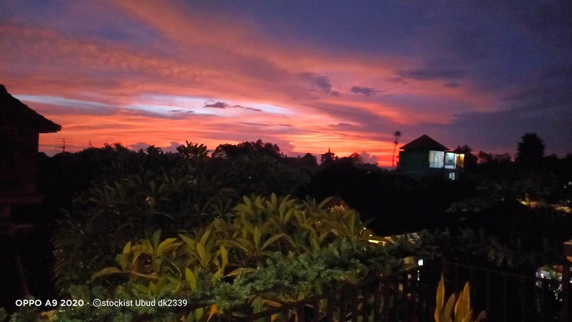 Danu House Ubud المظهر الخارجي الصورة