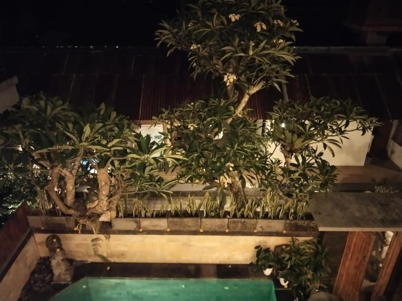 Danu House Ubud الغرفة الصورة
